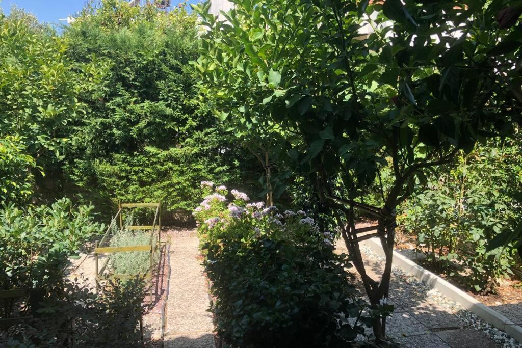 Ανακαινισμενη Μονοκατοικια 125 Τμ Στο Κεντρο Με Κηπο Mesolóngion Exterior foto